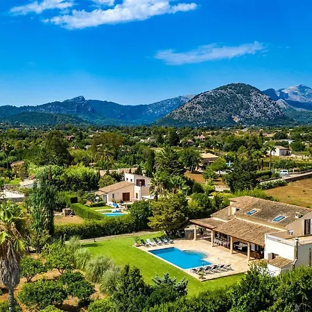 Rico * Pollensa